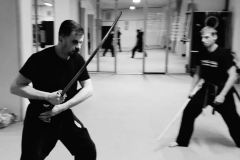 Kenjutsu-Training